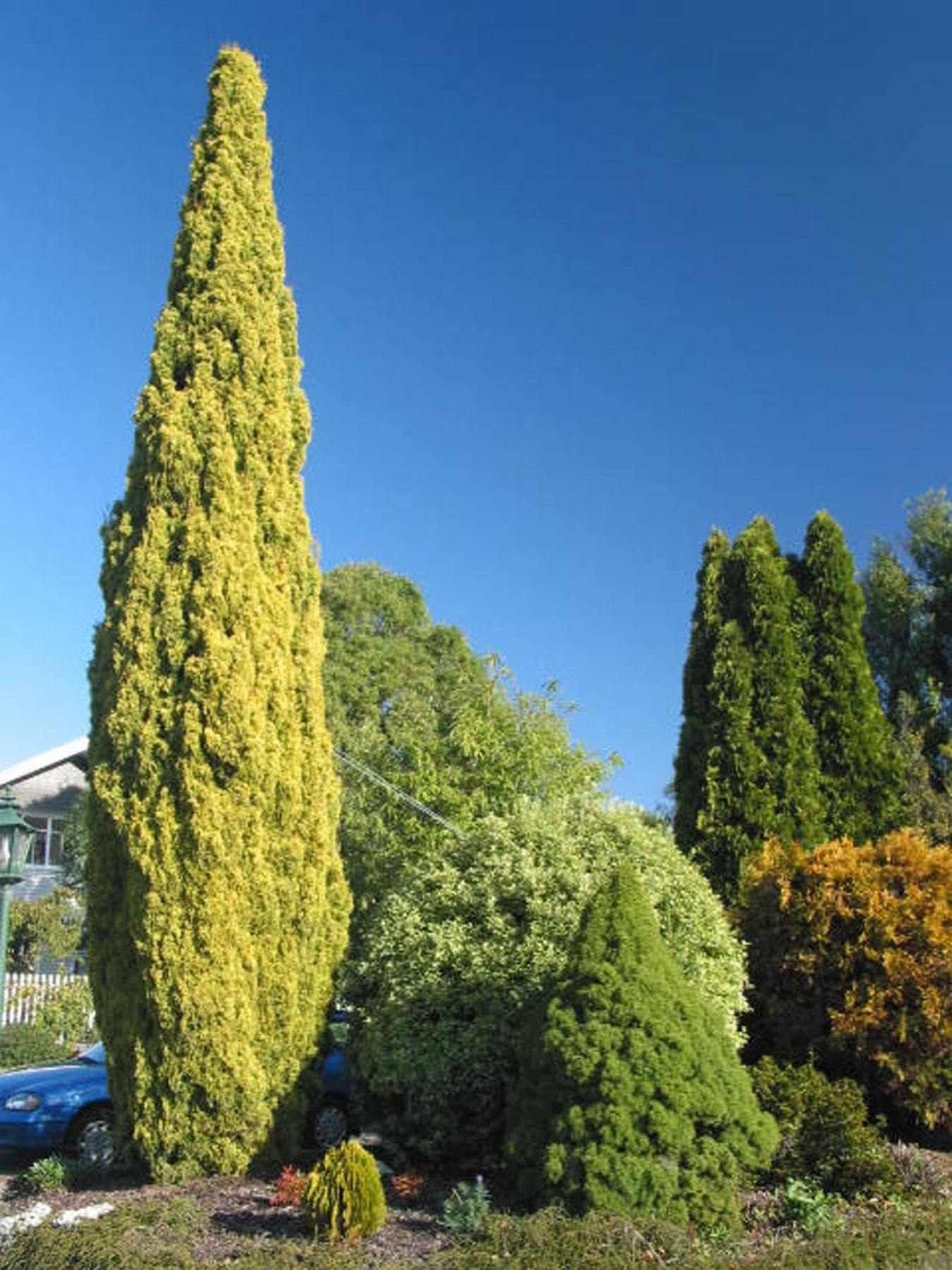 Aalton Motel Christchurch Bagian luar foto